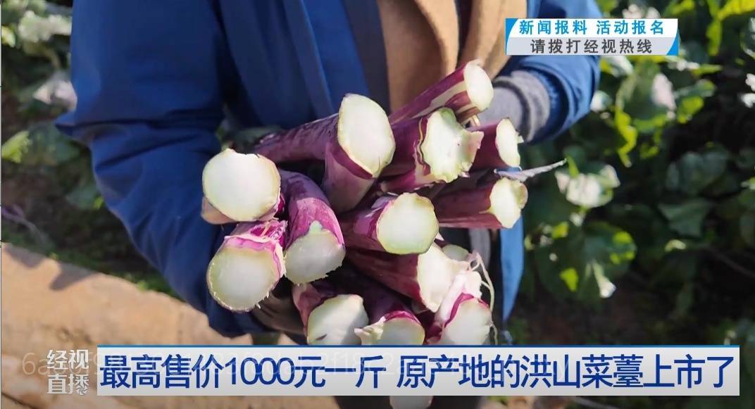 武汉人爱吃！最高1000元一斤<strong></p>
<p>比特币价格回落</strong>，供不应求