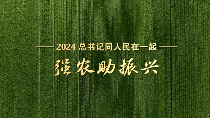 2024<strong></p>
<p>比特币概念股</strong>，总书记同人民在一起｜强农助振兴