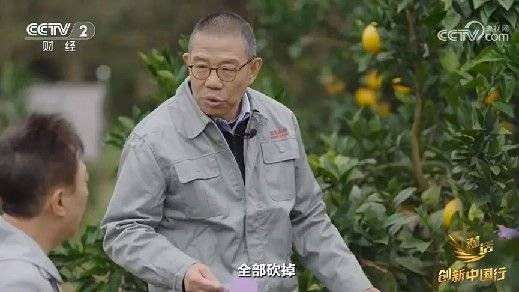 2024年末央视再度专访钟睒睒<strong></p>
<p>比特币怎么挖矿</strong>，背后有何深意？