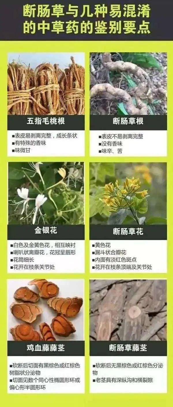 广东一老人买药材煲汤中毒身亡 当地：店铺误售断肠草<strong></p>
<p>偷电挖比特币</strong>，老板被拘留