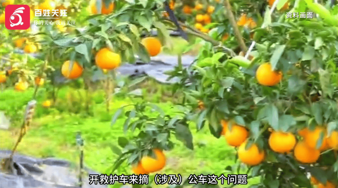 救护车被曝开到地里装柑橘<strong></p>
<p>打击比特币挖矿</strong>？当地卫健局回应