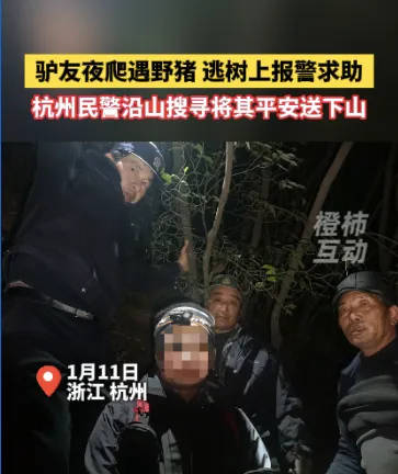 “我现在在树上<strong></p>
<p>1比特币多少人民币</strong>，野猪在下面……”杭州一男子深夜报警！