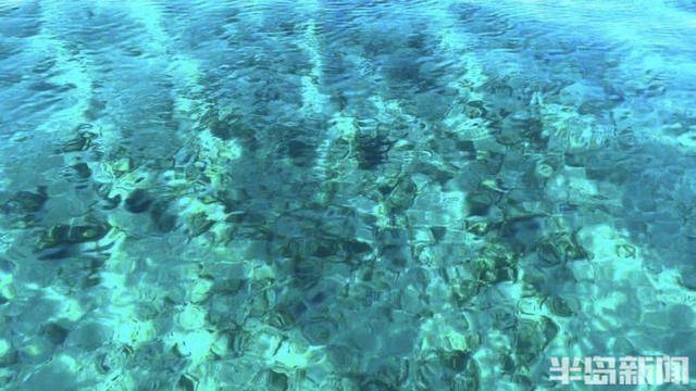 青岛女子买下70万平米小岛后续来了：目前没打算私有<strong></p>
<p>1比特币多少人民币</strong>，七八月份将带员工到岛上团建