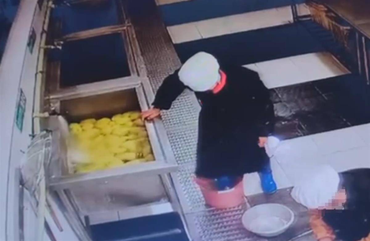 食堂人员用脚踩食材<strong></p>
<p>1比特币多少人民币</strong>，江西新余十六中校长被免职，市监局：举一反三保障食品安全