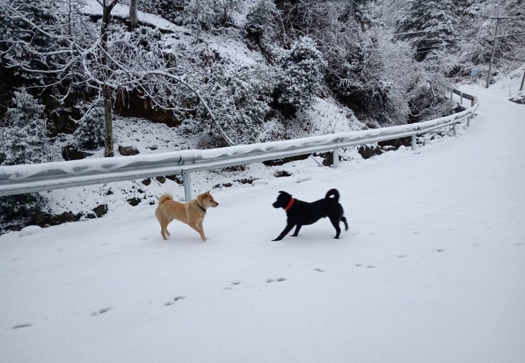 零下7℃<strong></p>
<p>今日国际原油价</strong>！大到暴雪！刚刚确认：杭州又来一波猛的！周末出门千万注意.....