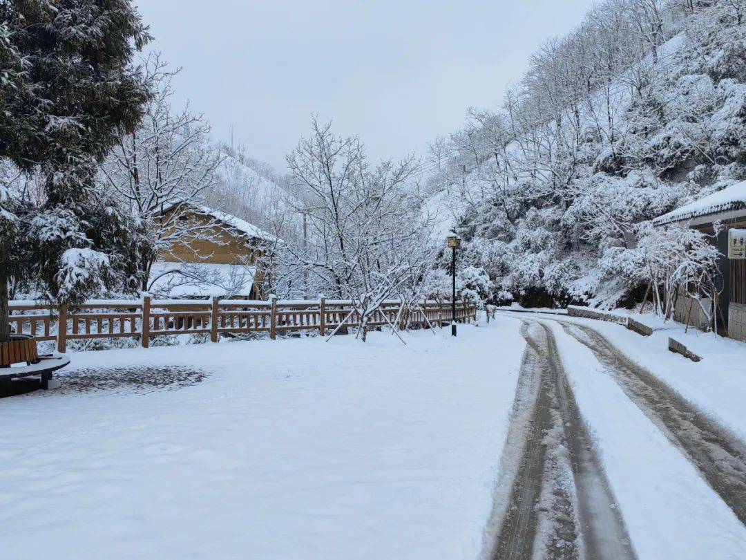零下7℃<strong></p>
<p>今日国际原油价</strong>！大到暴雪！刚刚确认：杭州又来一波猛的！周末出门千万注意.....