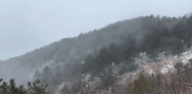 零下7℃<strong></p>
<p>今日国际原油价</strong>！大到暴雪！刚刚确认：杭州又来一波猛的！周末出门千万注意.....