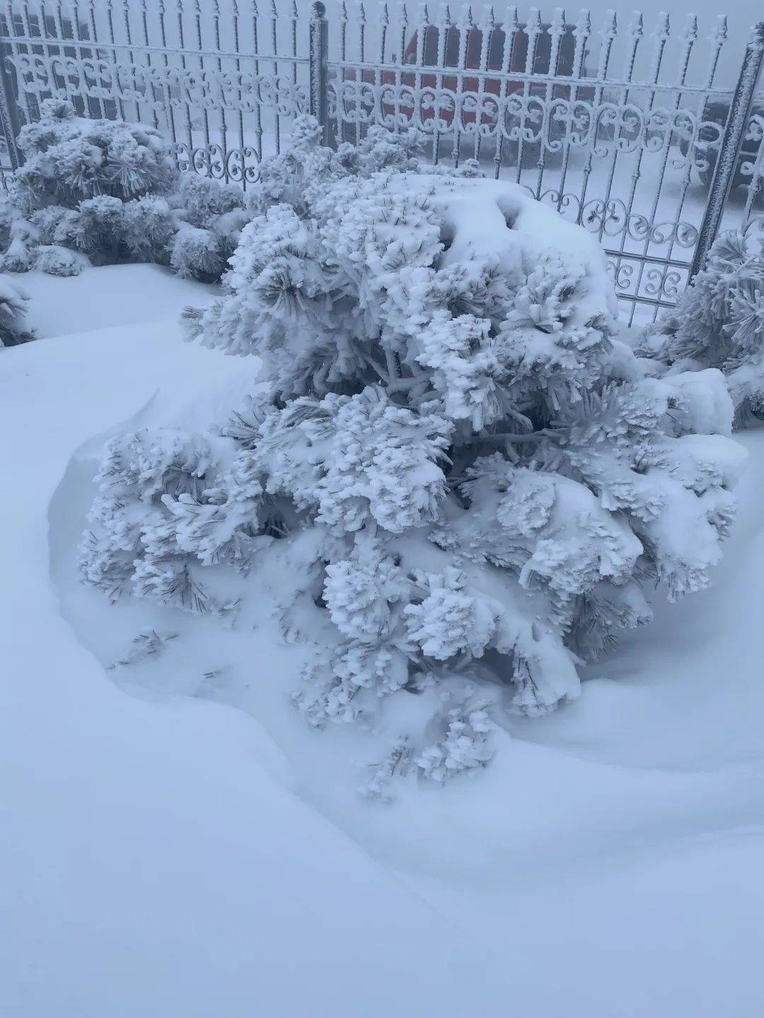 零下7℃<strong></p>
<p>今日国际原油价</strong>！大到暴雪！刚刚确认：杭州又来一波猛的！周末出门千万注意.....