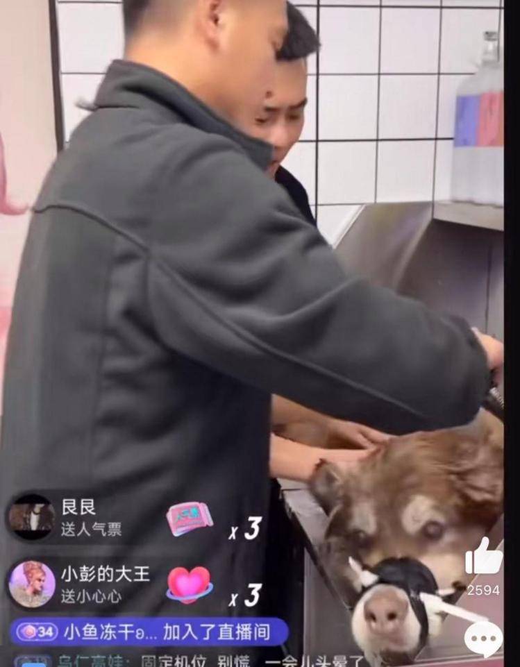 千万粉丝训犬师网红潘宏账号内容被一夜清空<strong></p>
<p>原油最新消息新闻</strong>，园区所在地官方：正调查