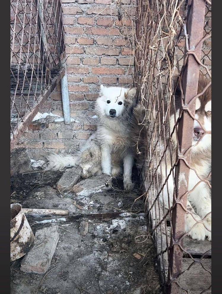 千万粉丝训犬师网红潘宏账号内容被一夜清空<strong></p>
<p>原油最新消息新闻</strong>，园区所在地官方：正调查