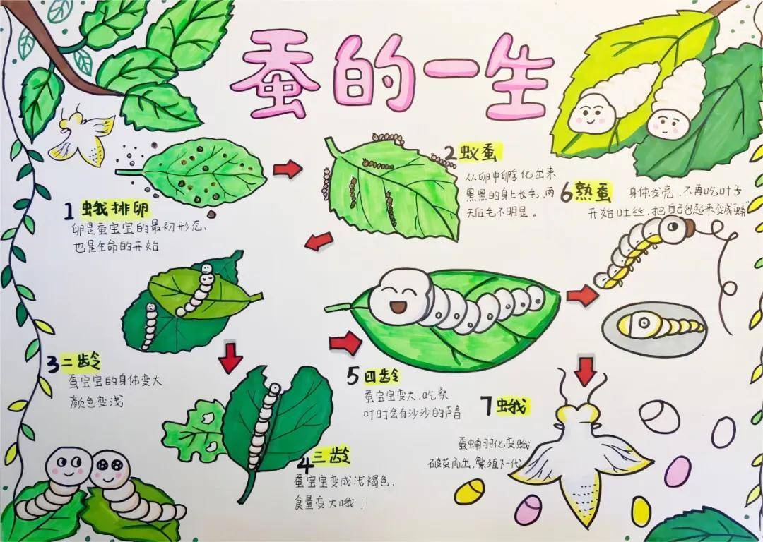 一年卖出1亿条虫！迷倒全国“10后”的小生意<strong></p>
<p>金投网原油</strong>，有人年入千万