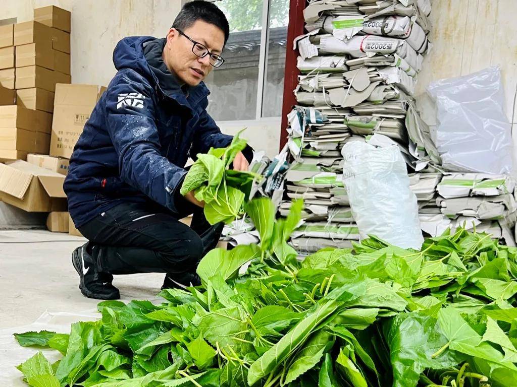 一年卖出1亿条虫！迷倒全国“10后”的小生意<strong></p>
<p>金投网原油</strong>，有人年入千万