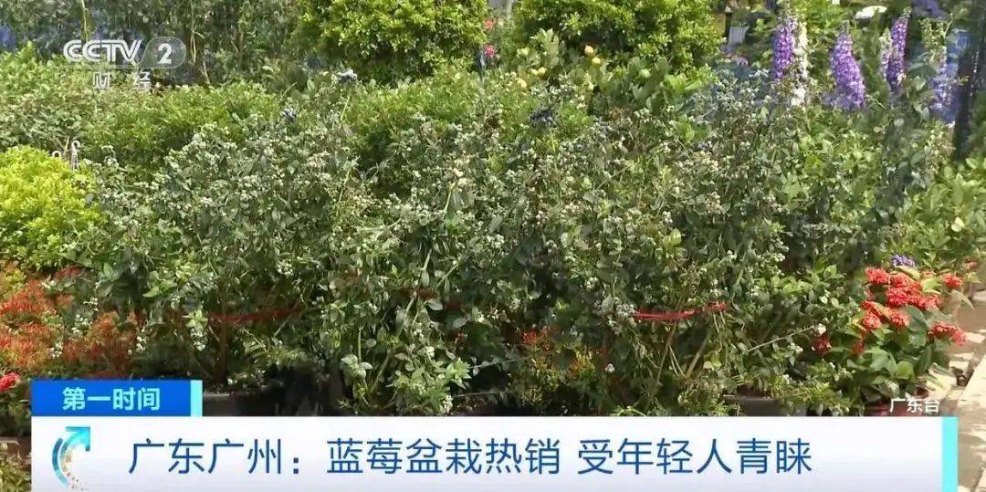 大降价<strong></p>
<p>世界原油价格</strong>！从100多元一斤到9.9元一盒