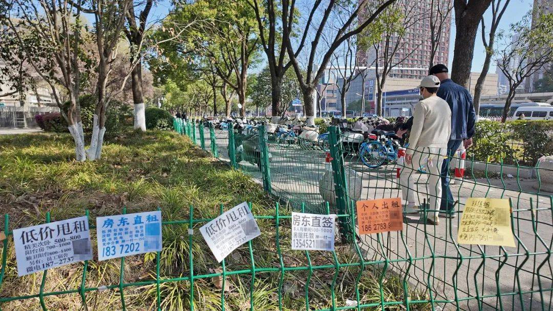 一二线城市房租普降<strong></p>
<p>论原油</strong>，房东主动降200留我