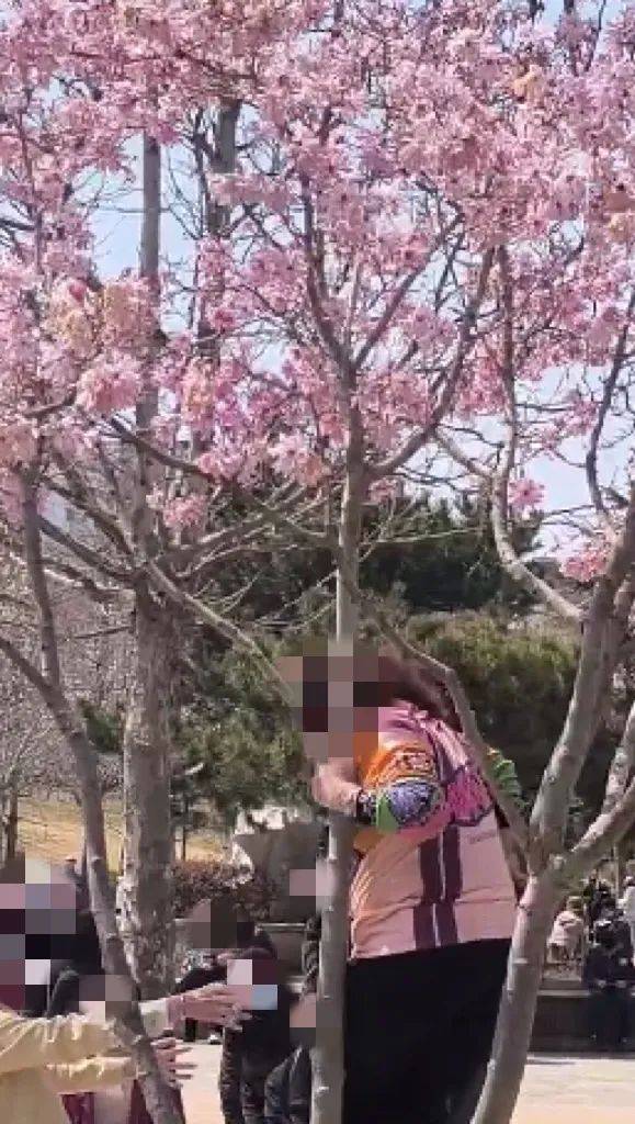 事发劳动公园！这4名女子<strong></p>
<p>论原油</strong>，你们这么做不脸红吗？