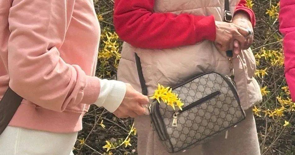 事发劳动公园！这4名女子<strong></p>
<p>论原油</strong>，你们这么做不脸红吗？