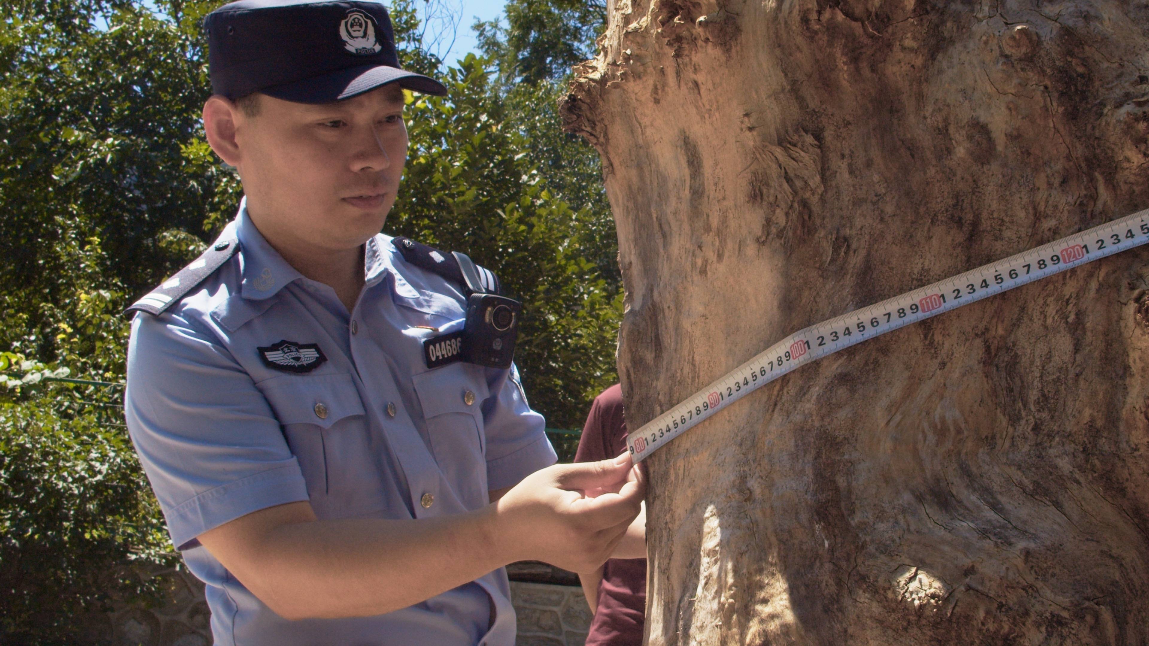 森林警察韩孟祺：乔装成驴友潜伏密林中<strong></p>
<p>今天原油行情</strong>，抓获“粘鸟”嫌疑人