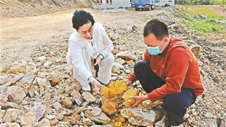 广东一地挖出“黄金土”<strong></p>
<p>净原油</strong>，专家：具体成分需等待检测报告
