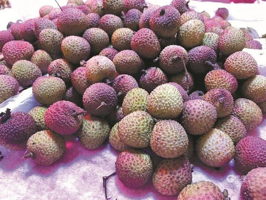 大跳水<strong></p>
<p>起原油</strong>，暴跌40%！老板：一天一个价，估计还要跌