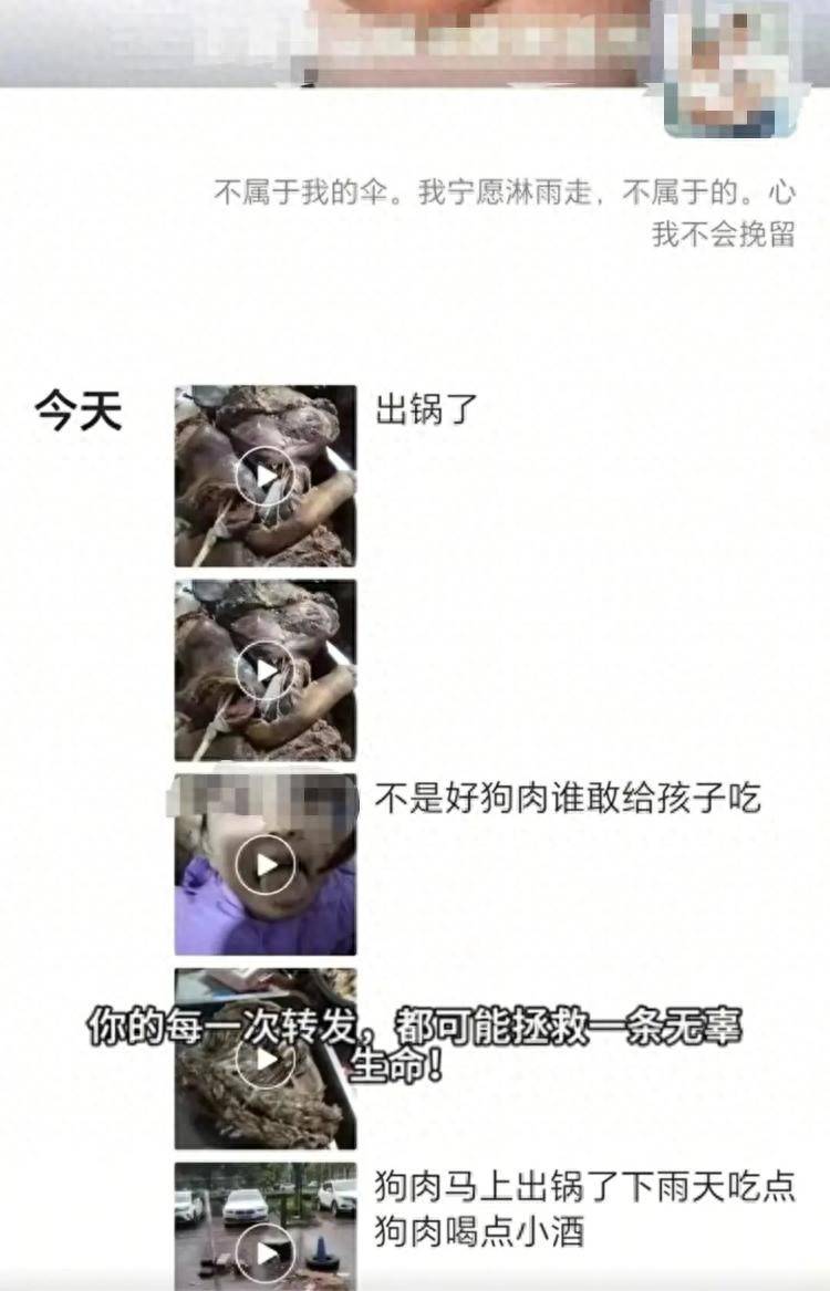 沈阳一店铺老板假借领养名义烹食流浪狗<strong></p>
<p>黄岛原油</strong>，警方：正在研讨处置
