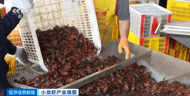 价格暴跌近50%<strong></p>
<p>美原油开户</strong>！“接下来还会降”！青岛正大量上市……