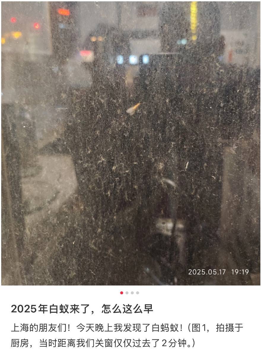 紧急提醒：瞬间爆发！上海市民崩溃：密密麻麻<strong></p>
<p>原油每桶价格</strong>，蠕蠕爬行...“梧桐区”已开始战斗，白蚁或提前分飞