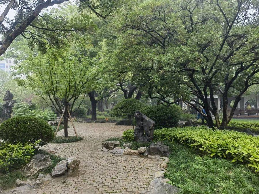 紧急提醒：瞬间爆发！上海市民崩溃：密密麻麻<strong></p>
<p>原油每桶价格</strong>，蠕蠕爬行...“梧桐区”已开始战斗，白蚁或提前分飞