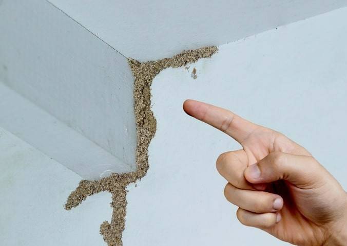 紧急提醒：瞬间爆发！上海市民崩溃：密密麻麻<strong></p>
<p>原油每桶价格</strong>，蠕蠕爬行...“梧桐区”已开始战斗，白蚁或提前分飞