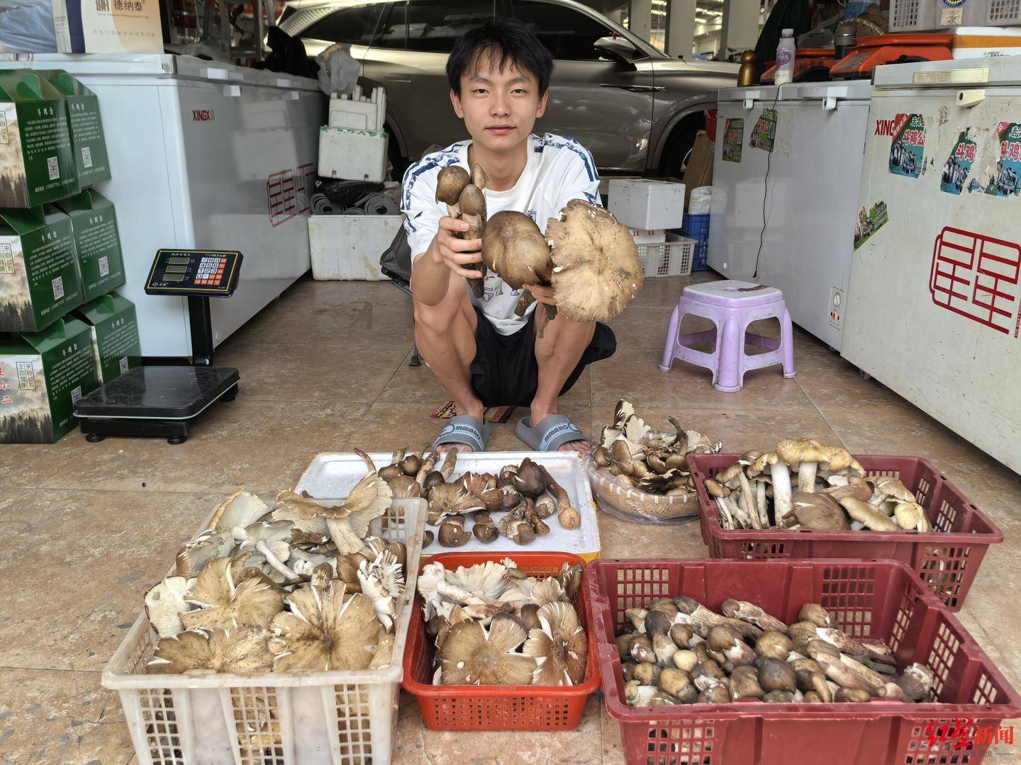 “天价”鸡枞调查：最贵卖到1800元/公斤！雨水少致产量低<strong></p>
<p>原油解套</strong>，多地价高客少