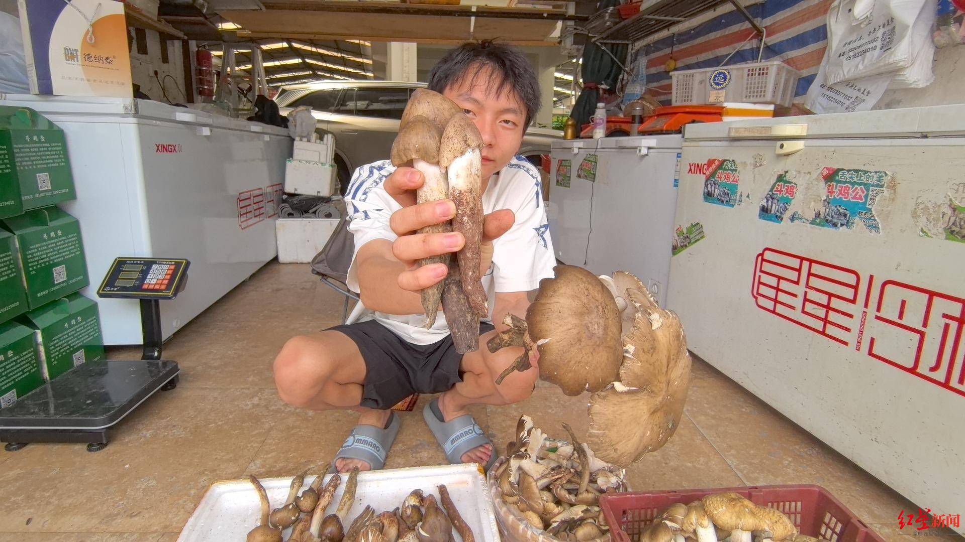 “天价”鸡枞调查：最贵卖到1800元/公斤！雨水少致产量低<strong></p>
<p>原油解套</strong>，多地价高客少