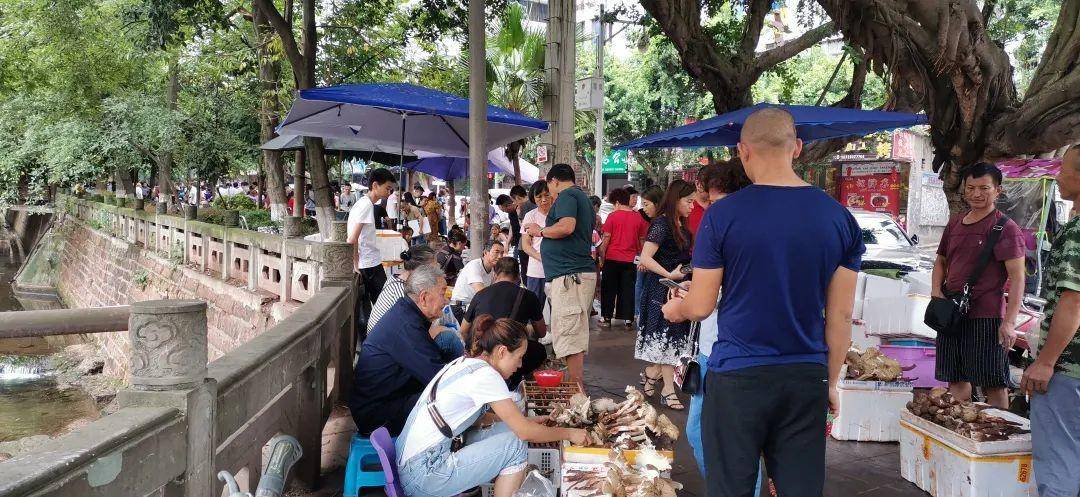 “天价”鸡枞调查：最贵卖到1800元/公斤！雨水少致产量低<strong></p>
<p>原油解套</strong>，多地价高客少