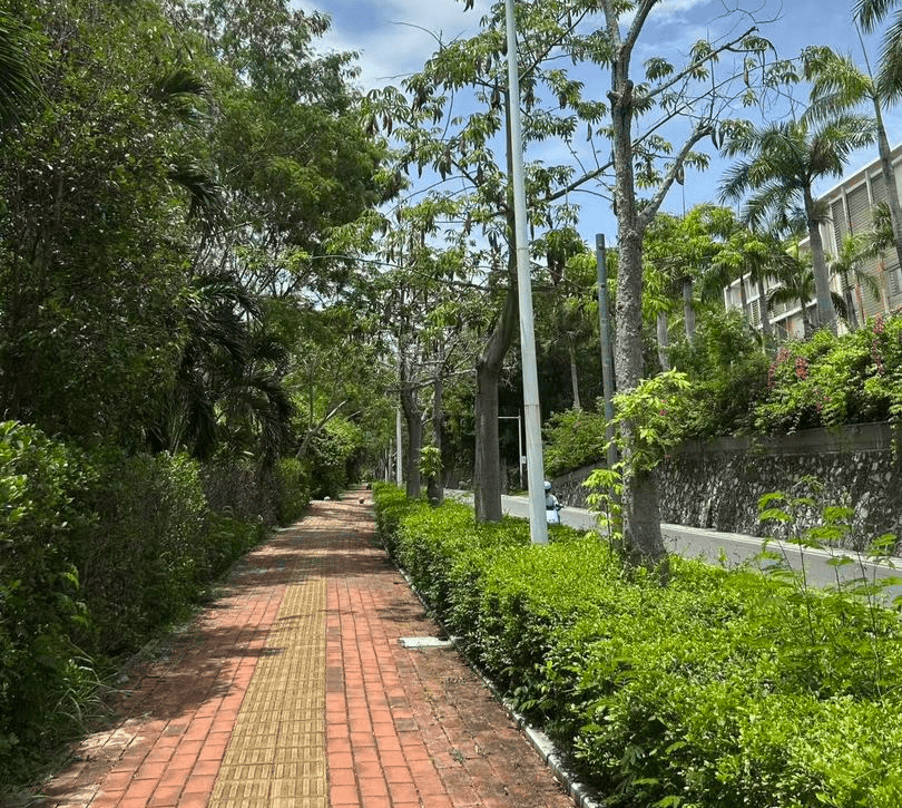 紧急转院仍无力回天<strong></p>
<p>荣原油</strong>！三亚蛇咬事件暴露旅游安全漏洞