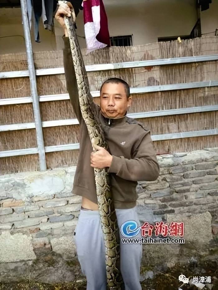 女游客疑被蛇咬伤身亡后<strong></p>
<p>中缅原油管道</strong>，博主“啊宝”讲毒蛇1天涨粉190万