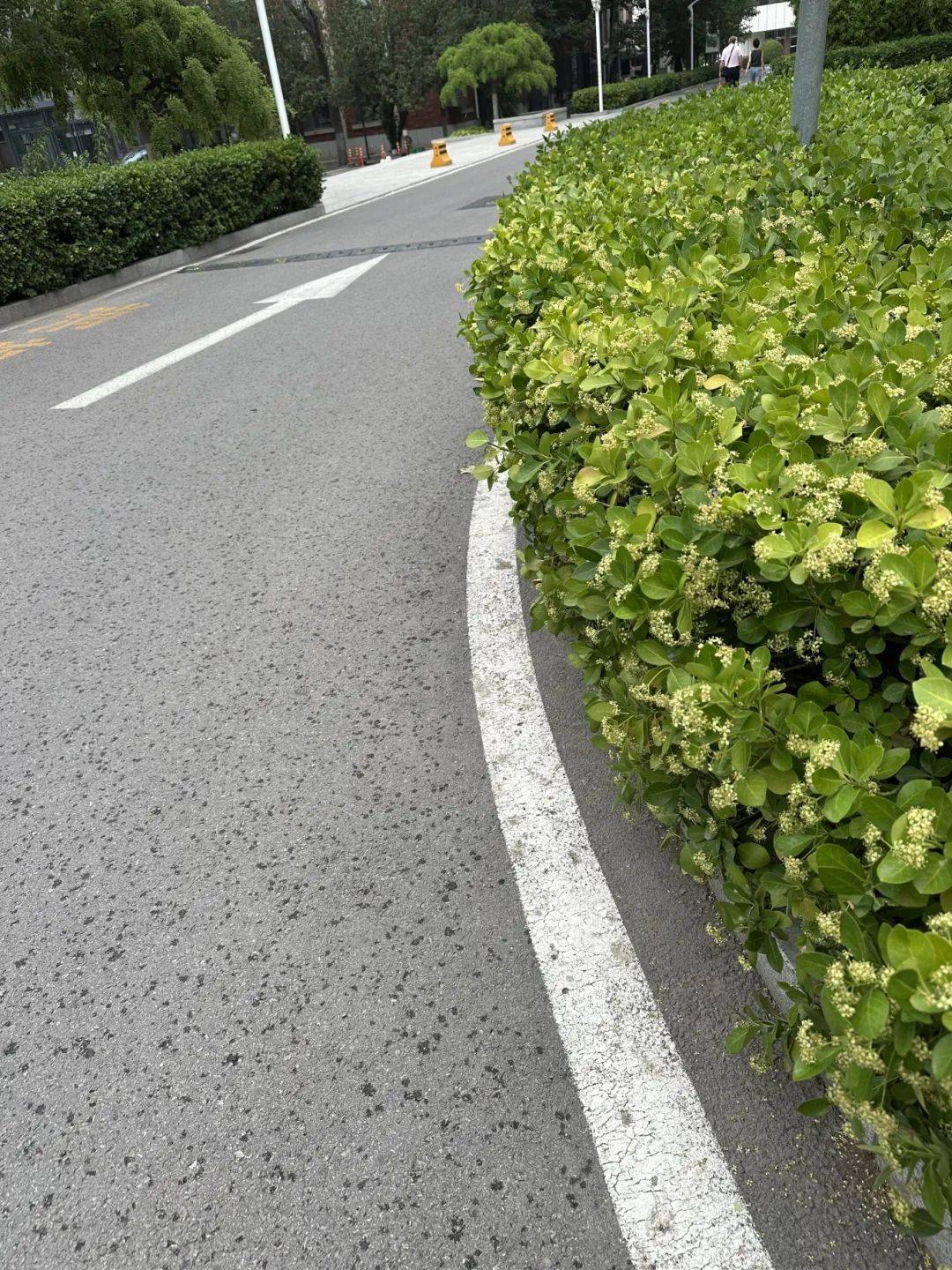 下雨了<strong></p>
<p>原油酸</strong>！天津接下来十天都是……