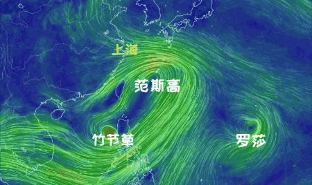 大风+大雨<strong></p>
<p>原油暴跌的原因</strong>，上海今起受台风影响！一活动紧急取消！这几个区的雨更大