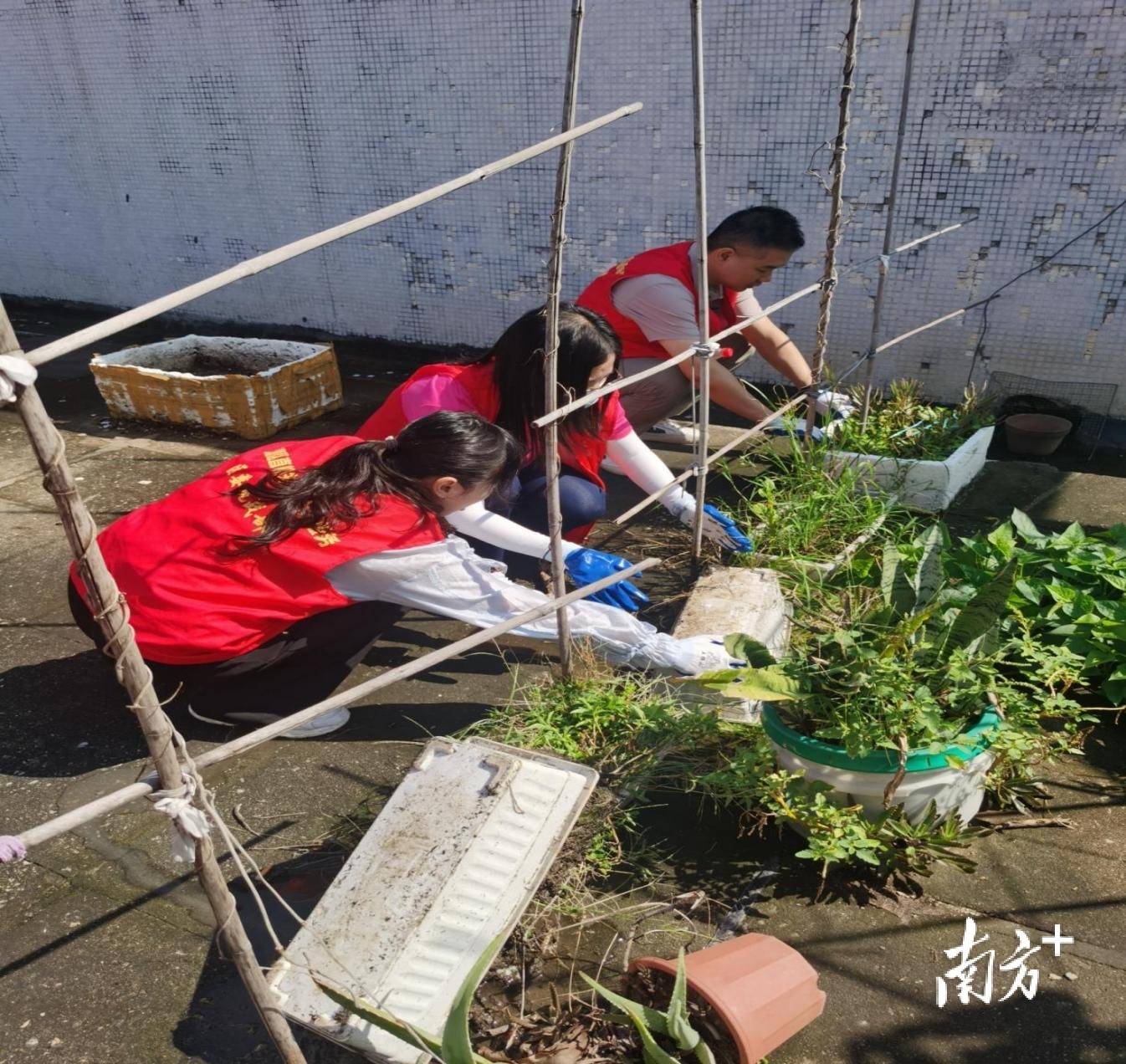 顺德超3300名党员干部下沉一线<strong></p>
<p>原油暴跌的原因</strong>，党群联动打响蚊媒防控歼灭战