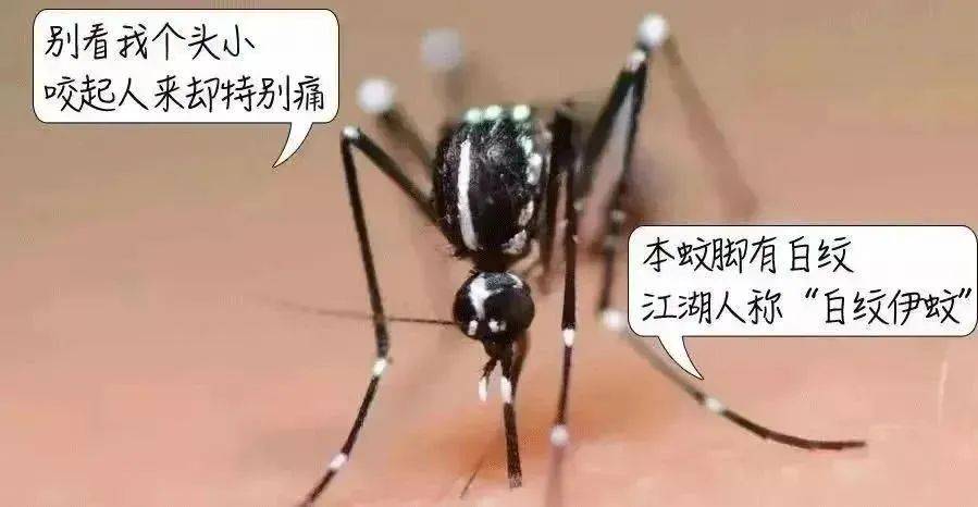 风险增大<strong></p>
<p>原油是石油吗</strong>！深圳疾控：去这247处要小心！张文宏首次发声