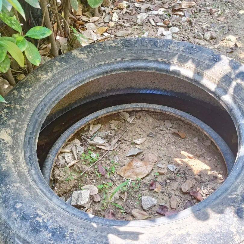 青岛疾控最新提醒：全民行动<strong></p>
<p>原油是石油吗</strong>！翻盆倒罐、清除积水！