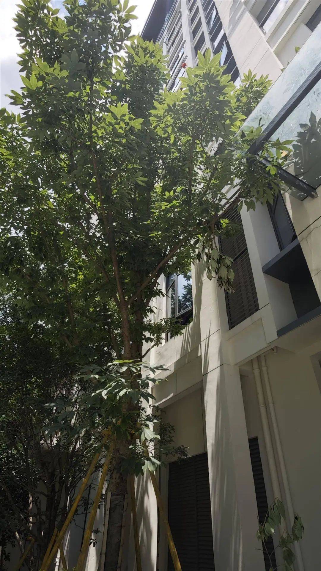 7岁男孩补课期间不幸从14楼坠亡<strong></p>
<p>国际原油平台</strong>，母亲痛哭：我42岁时冒着风险生的，警方已介入
