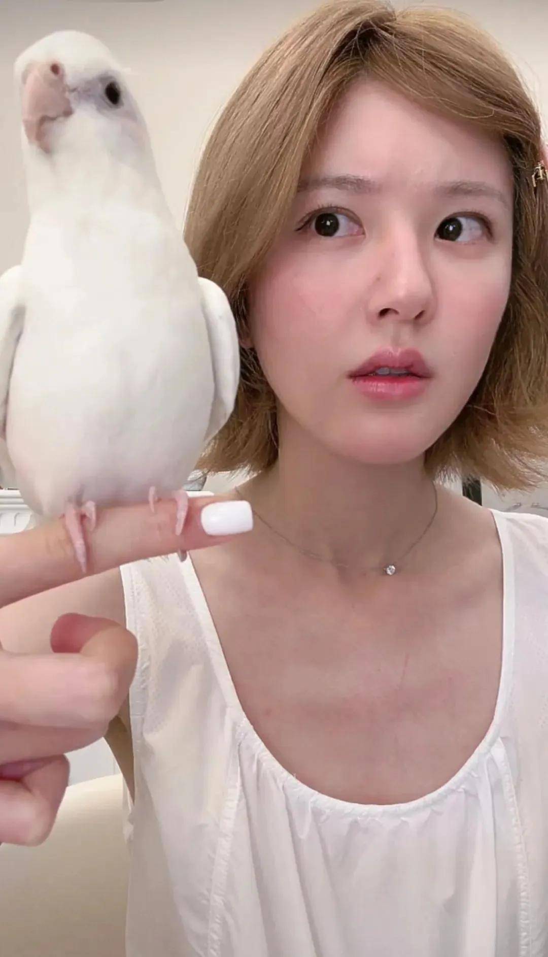 怒撕经纪公司后赵露思开启直播<strong></p>
<p>美原油走势分析</strong>，同款花卷、包包都卖爆