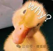 从爆红到突然消失好几年<strong></p>
<p>原油与石油</strong>，再出现已经胖到大家不敢认了？