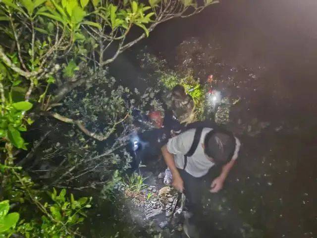 每人罚款5000元<strong></p>
<p>原油降凝剂</strong>！深圳开出全国首张罚单