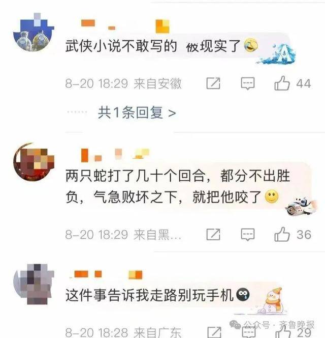 安徽宣城一男子走路玩手机<strong></p>
<p>原油级别</strong>，一脚踩中打架的竹叶青和五步蛇，被俩毒蛇咬3口！医院：暂无生命危险，正在治疗