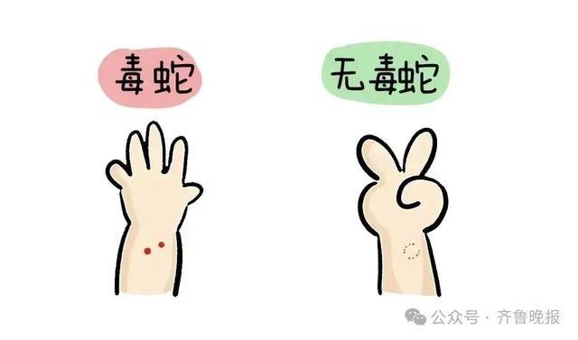 安徽宣城一男子走路玩手机<strong></p>
<p>原油级别</strong>，一脚踩中打架的竹叶青和五步蛇，被俩毒蛇咬3口！医院：暂无生命危险，正在治疗