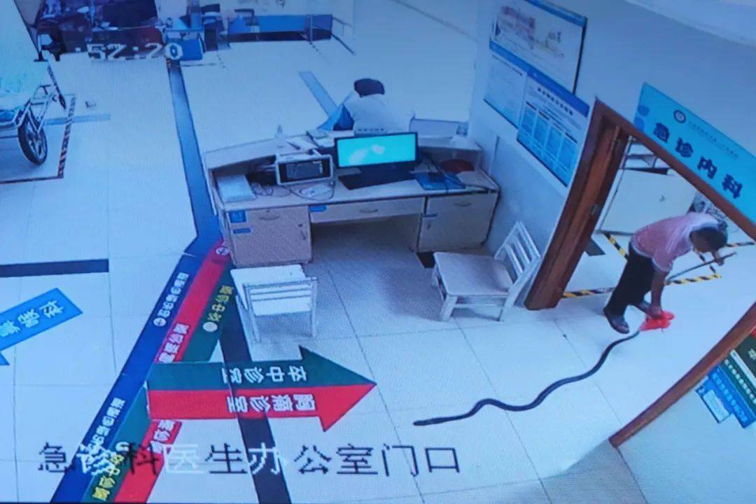 眼镜王蛇咬伤老人<strong></p>
<p>正规原油平台</strong>，家属拖两米多长的“凶手”冲进医院！“拎蛇就医”可取吗？
