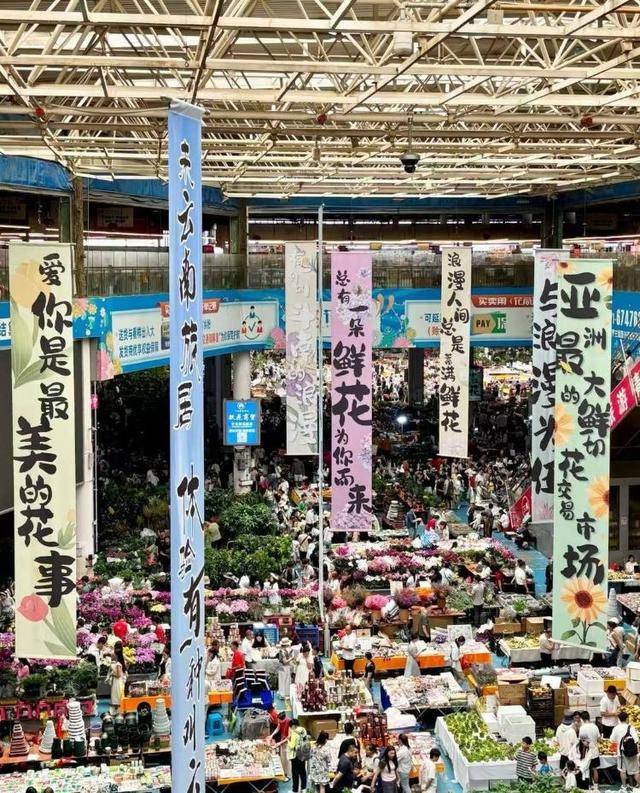 七夕不送玫瑰改送花菜<strong></p>
<p>原油价值</strong>！这一届年轻人“反套路”重新定义浪漫