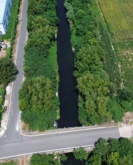 去年整改过的“黑水河”<strong></p>
<p>原油价值</strong>，今年怎么又黑了？ | 新京报快评