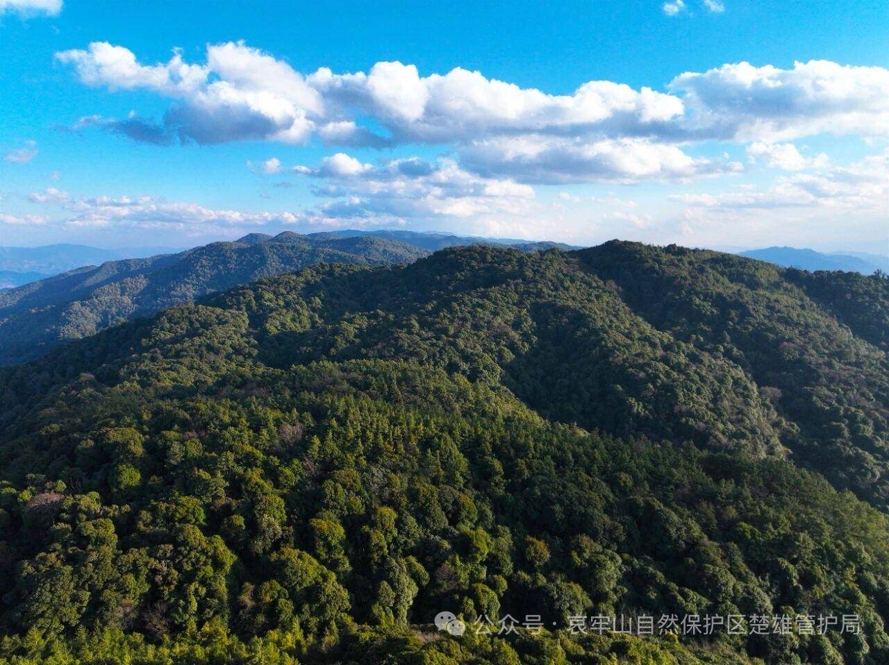 云南哀牢山新规出台：禁止任何单位和个人擅入哀牢山自然保护区<strong></p>
<p>工行</strong>，从事科研活动须报批