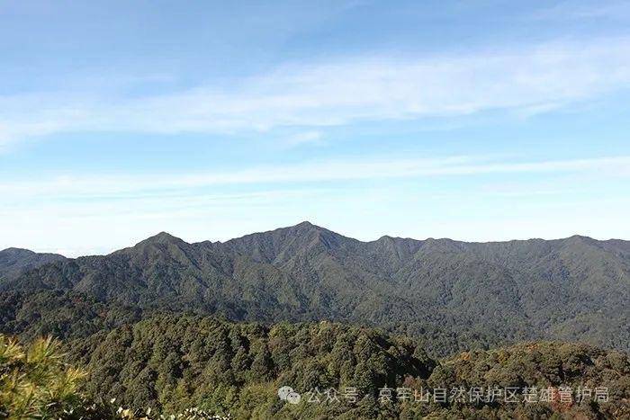 云南哀牢山新规出台：禁止任何单位和个人擅入哀牢山自然保护区<strong></p>
<p>工行</strong>，从事科研活动须报批