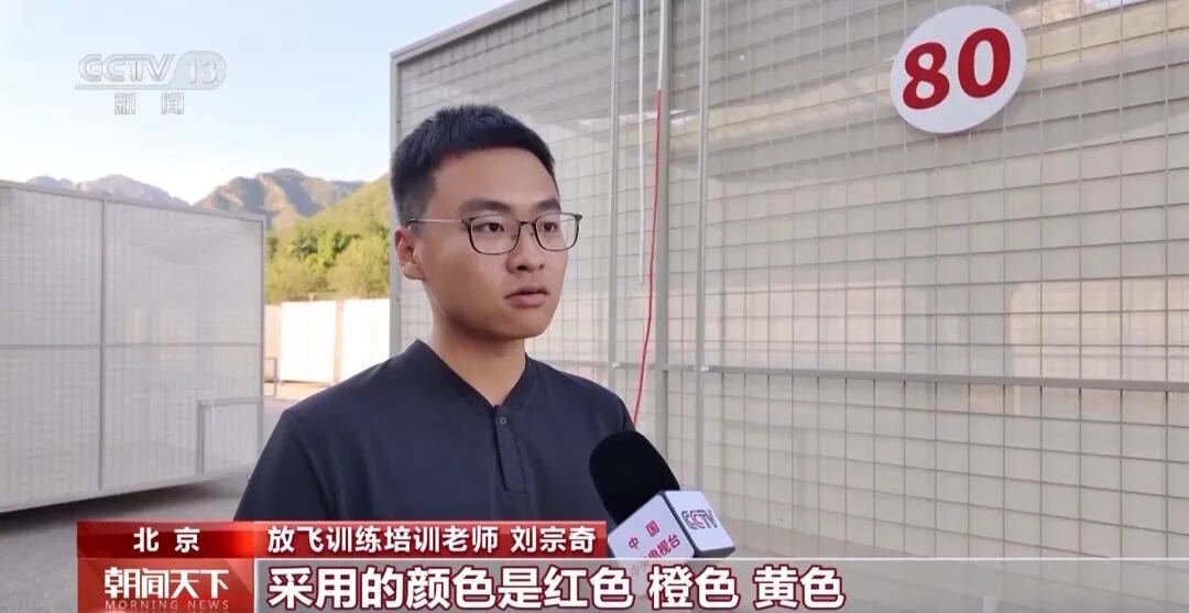明天将放飞8万羽和平鸽、8万只气球<strong></p>
<p>工行</strong>，揭秘！